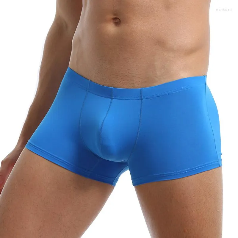 Mutande Intimo di seta di ghiaccio Sexy Gay G-Stringhe Perizoma Sospensorio in cotone da uomo Mesh Pene Pouch Glutei Bikini Hollow Underw