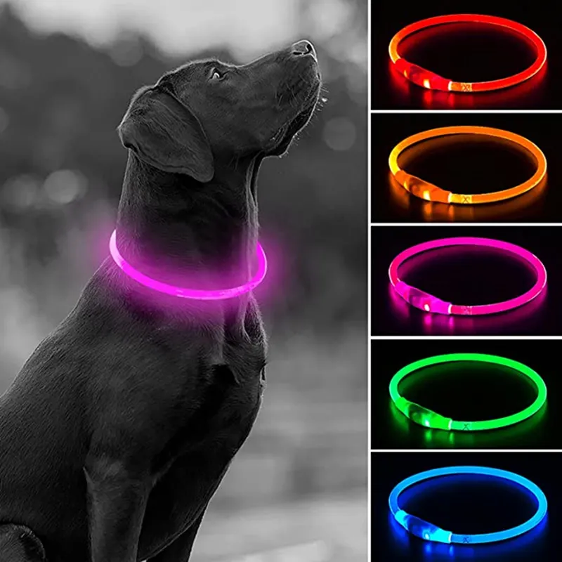 Hundhalsar LEASSHES LED USB DOG CHART PET DOG NATT LUMBINOER CHARGE COLT LED NIGHT Safety Flashing Glow Dog Loss Prevention Collar Pet Accessorie 230428