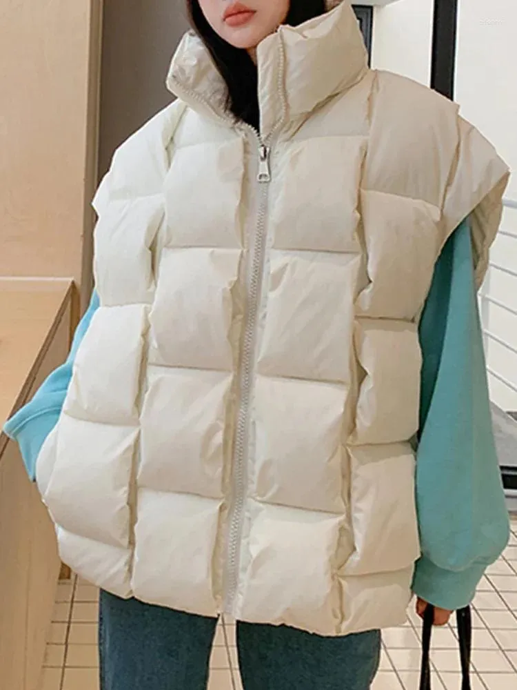 Gilet da donna Autunno Inverno Giacca Gilet per donna 2023 Gilet oversize Caldo Parka Blu Verde Cappotti Cerniera Giù Capispalla E176