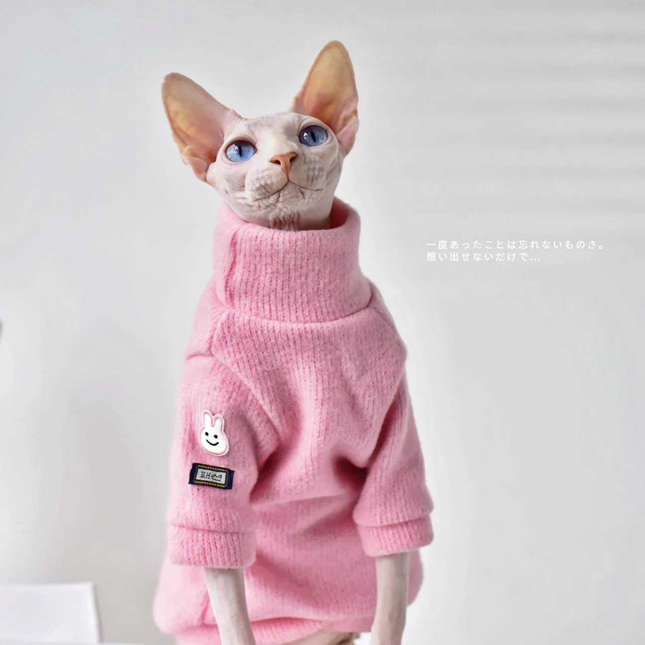 Roupas ins roupas de inverno para animais de estimação doce rosa sphynx gato roupas traje quente para um cão xs minúsculo animal camisa