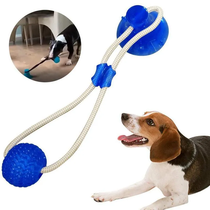 Toys Dog Toys Sug Cup Push Ball Ring Puller Antibite Floating Interactive Supplies Dog Toys Aggressiv tugga