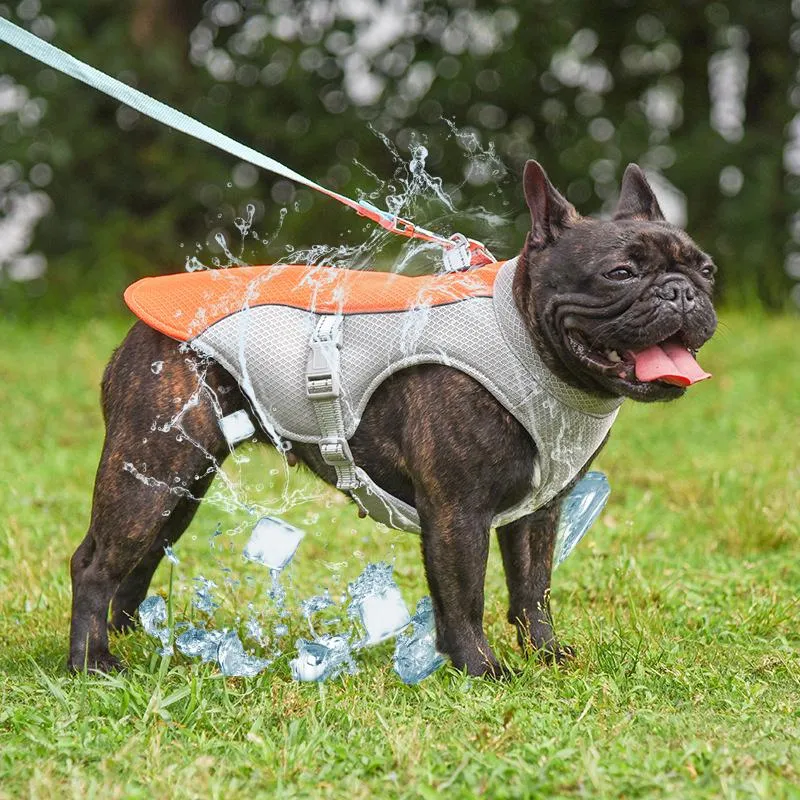 ベストドッグハーネス冷却夏屋外通気性ペットリフレクティブベスト犬冷却ジャケット小さな中程度の大きな犬用