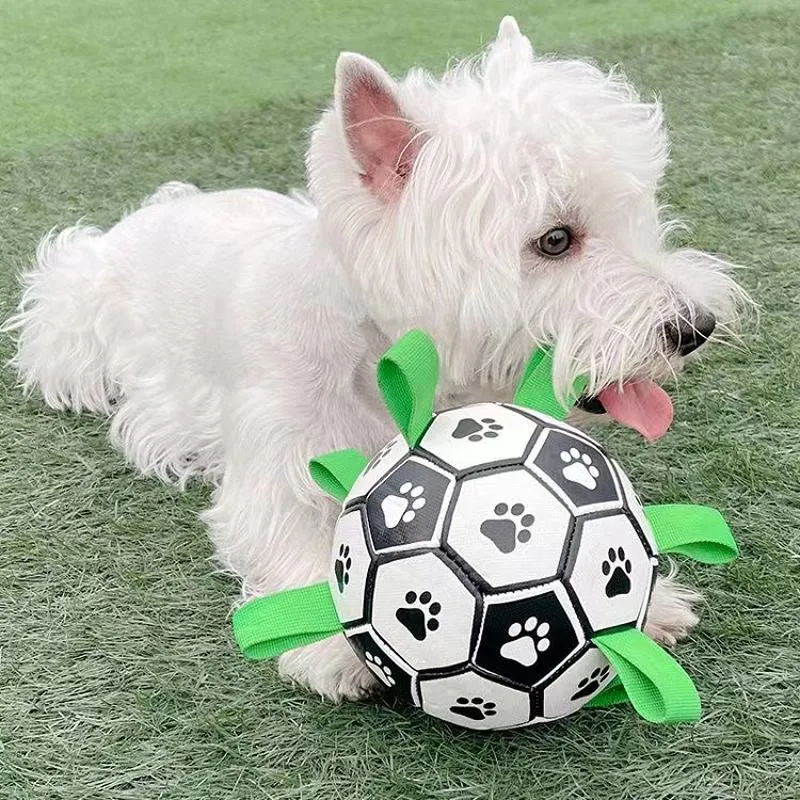 おもちゃ犬おもちゃ玩具インタラクティブペットフットボールおもちゃグラブタブ犬屋外トレーニングサッカーペットバイトチューボールウォーターフットボール犬