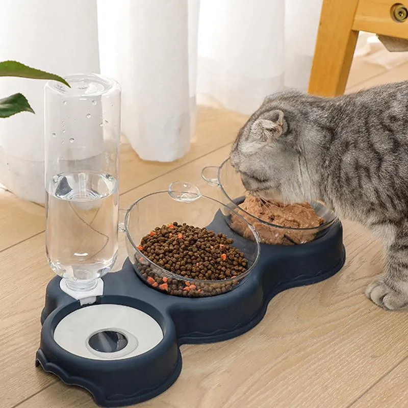 Double bol d'alimentation automatique pour chat et chien, nourriture et eau, support haut, bol à boire antidérapant, chaton, chiot, fournitures pour animaux de compagnie