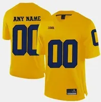 Professional Custom Jerseys NCAA Michigan Wolverines College Football Jersey Logo Any Number And Name All Colors Mens Jersey S-5XL A1