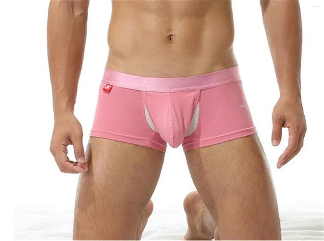 Cuecas sexy verão moda masculina cuecas de algodão personalidade criativa confortável meados cintura plana ângulo separação boxers