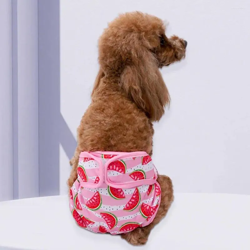 Hundkläder fashionabla blöja bekvämt andningsbara lättklädda sanitetsbyxor för menstruation
