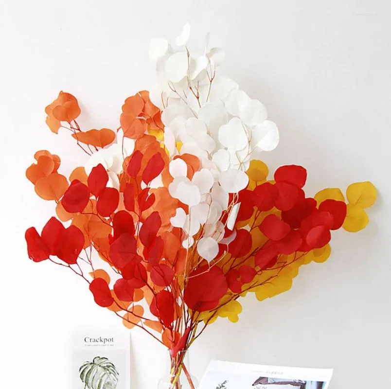 Dekorative Blumen ca. 2-3 Stück echte mehrfarbige Eukalyptusblätter natürliche getrocknete runde Apfel-Eukalyptus-Heimbüro-Shop-Party-Dekoration