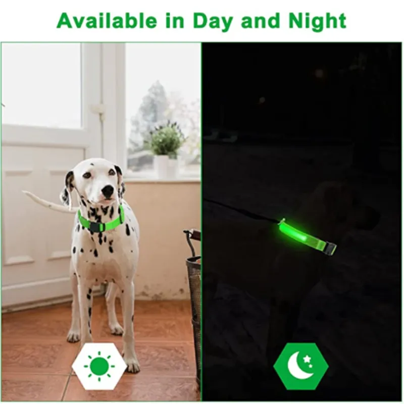 Perro Gato Collar de PET de 6 equipos de luz LED impermeable, collar de  perro de