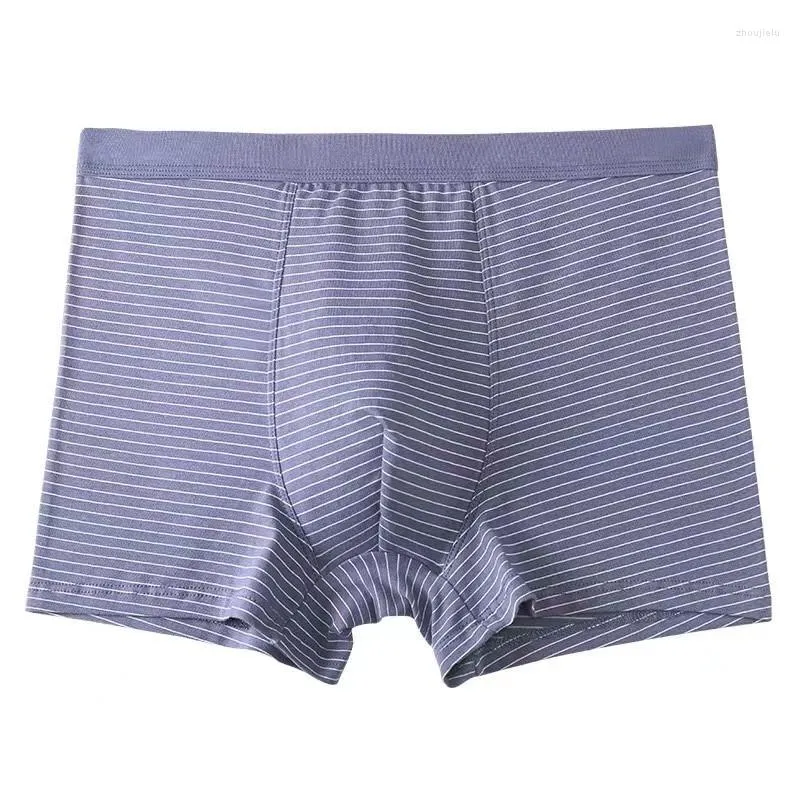 Mutande 2023 Intimo boxer traspirante in cotone a vita media da uomo Pantaloncini comodi stampati a righe sexy