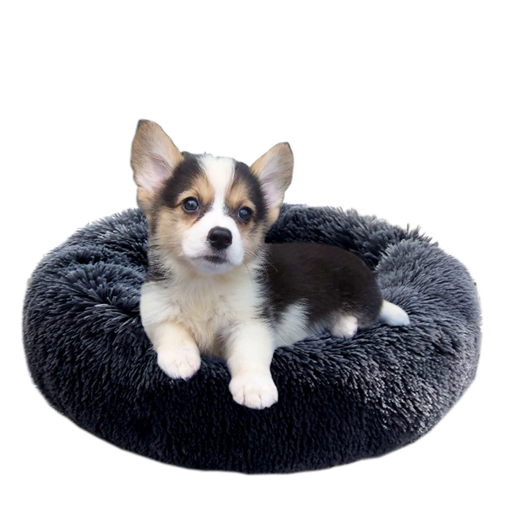 Dog beds for best sale large dogs clearance