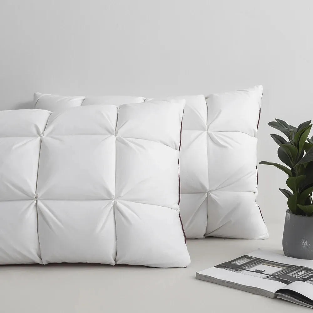Feather top pillows kmart