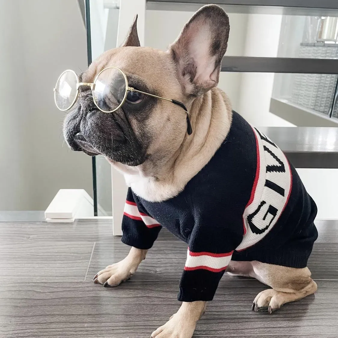 Tasarımcılar Köpek Beş Boyutlar Moda Pet Sweaters Lüks Markalar Köpek Giysileri Siyah ve Beyaz Köpek Kumaş Küçük Köpekler İçin