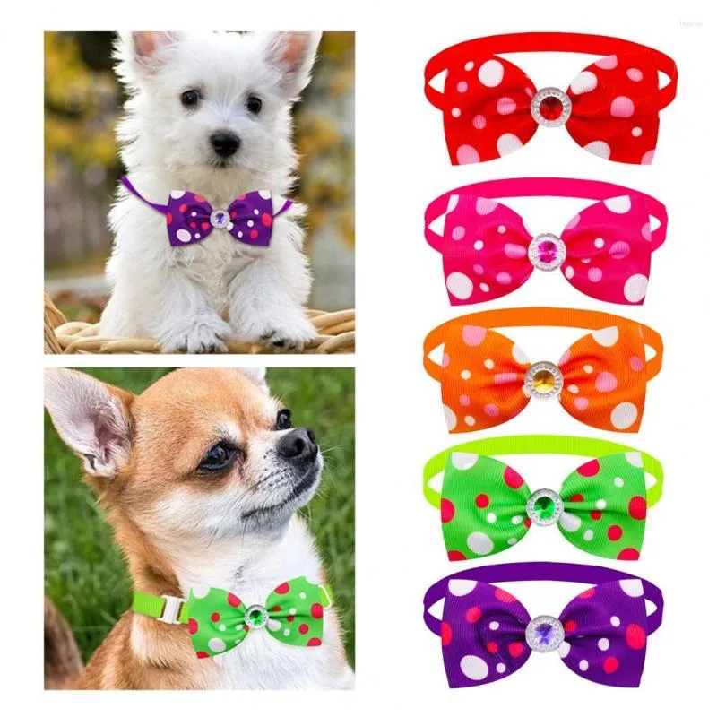 Tiny dog accessories outlet