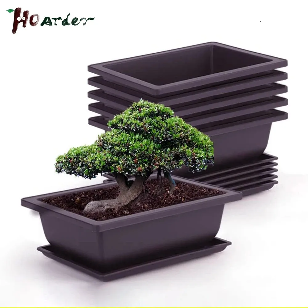 Vasos Potenciômetros de Treinamento com Bandeja Plástico Bonsai Plantas Pote Quadrado para Flor Suculenta Planta Bandejas Plantador 231130