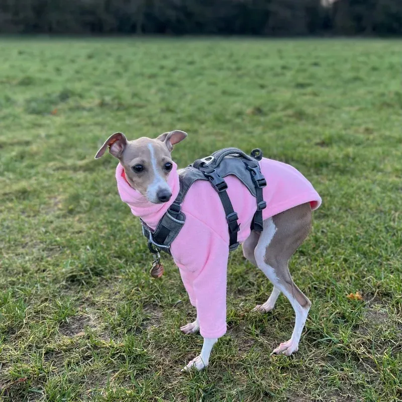 Hundebekleidung Hundebekleidung aus Polarfleece, Stehkragen, Winter-Hundebekleidung, Kleidung für italienische Windhunde, Whipple-Hundebekleidung 231129