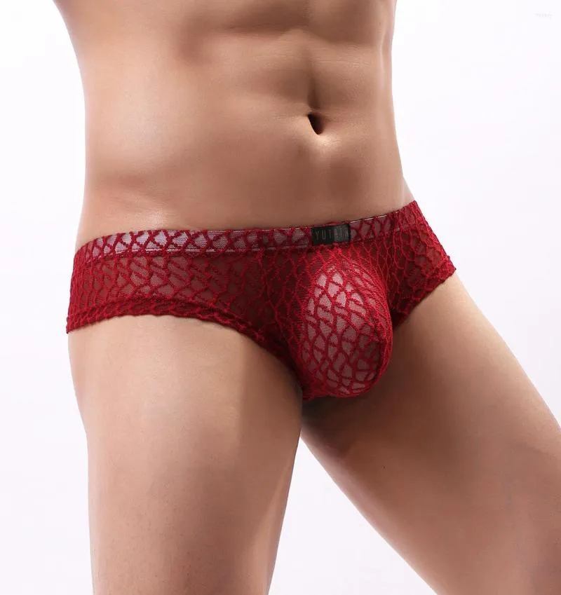 Underpants Man Underwear Sexy Lace Gay Panties Adult Sextransparent  Lingerie XXX Erotic Male Sissy From Hoeasy, $34.21