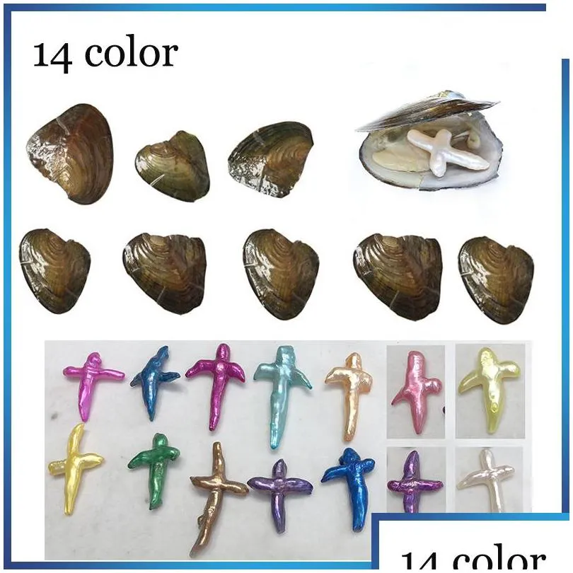 Pearl Cross Oyster New 14 Mix Colors Freshwater Shell Natural Ctured Sea Wateoyster Mussel 농장 공급장 드롭 배달 보석 Dhjry
