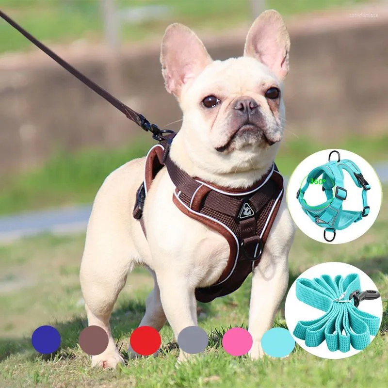 Dog Collars Vest-style Harness Small Arnes Perro Puppies Walking Leash Harnais Chien Cat Accessories