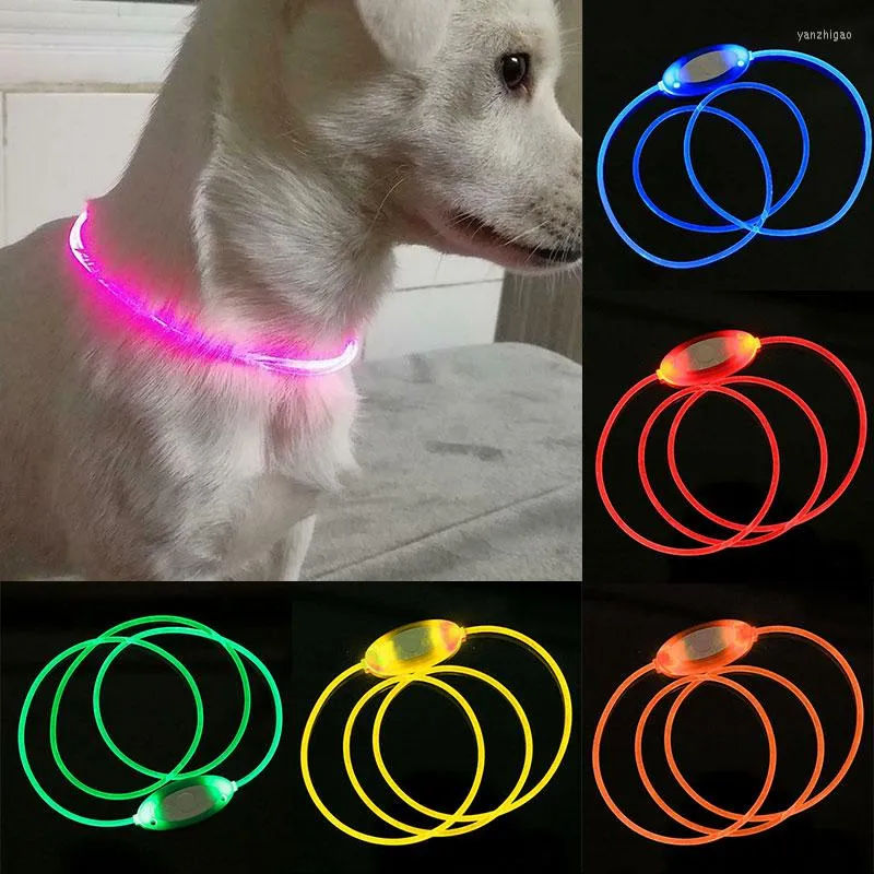 Dog Collars Led Usb Collar Luminous Charge Night Safety Flashing Glow Loss Prevention Pet Accessorie