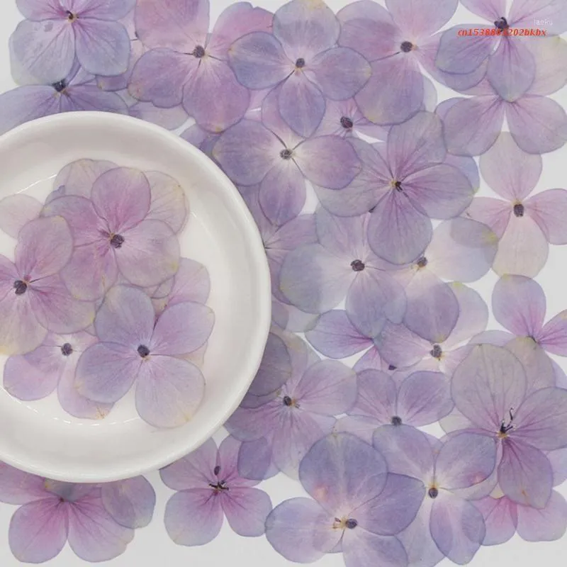 Fleurs décoratives 60 pièces/ensemble naturel rose violet hortensia bricolage séché UV résine époxy moule remplissage fleur Nail Art pressé maquillage