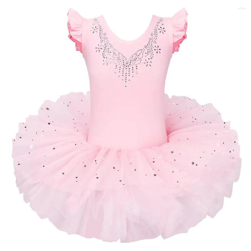 Stage Wear BAOHULU Summer Baby Girls Leotards Ballet Dress Tutu Skirt Fairy Dance Party Costumes Dress/Tutus