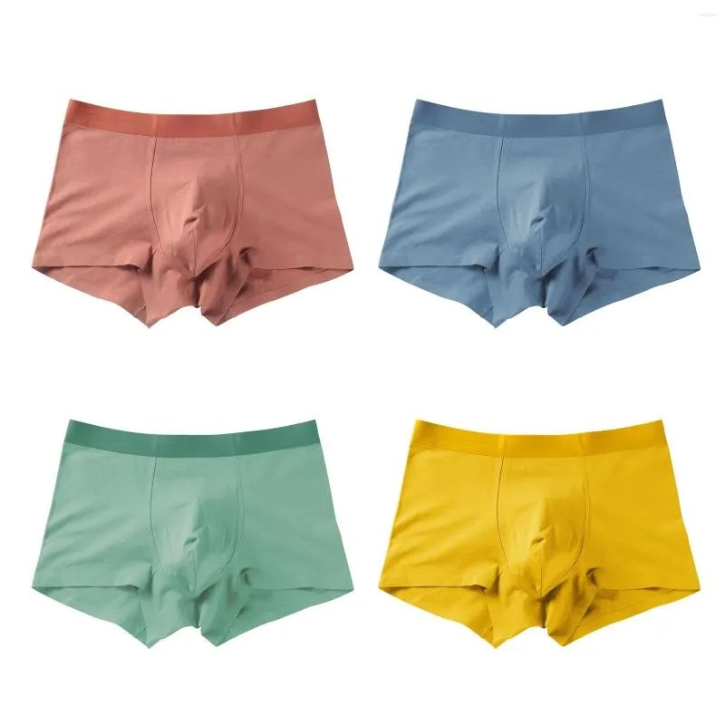 Caleçon de haute qualité hommes Boxer solide coton respirant hommes sous-vêtements élastiques hommes boxeurs Shorts poche de renflement doux mâle