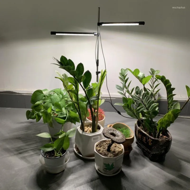 Lampes de culture LED pour plantes insérées au sol, spectre complet, longue bande, Pot vert charnu, interrupteur de lumière de remplissage, synchronisation de la croissance