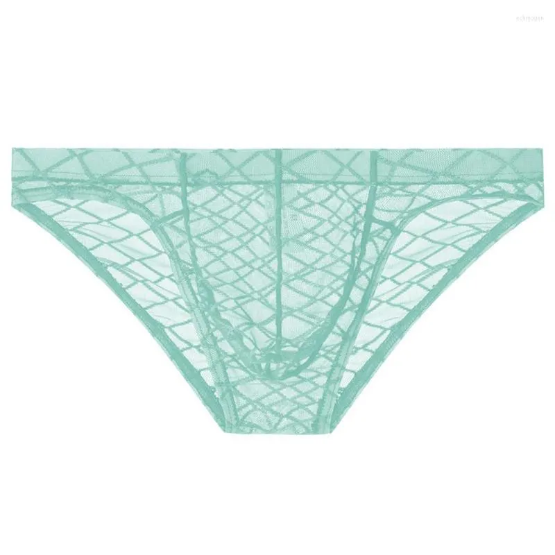 Underpants Sexy Men Nylon Briefs Convex Pouch Cool Low Waist Soft Underwear Men's Erotic Lingerie Bikini Transparent Panties