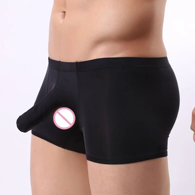 Caleçon homme tronc Boxer Shorts glace soie hommes sous-vêtements hommes Sexy éléphant nez culotte creux Scrotum Slip exotique homme