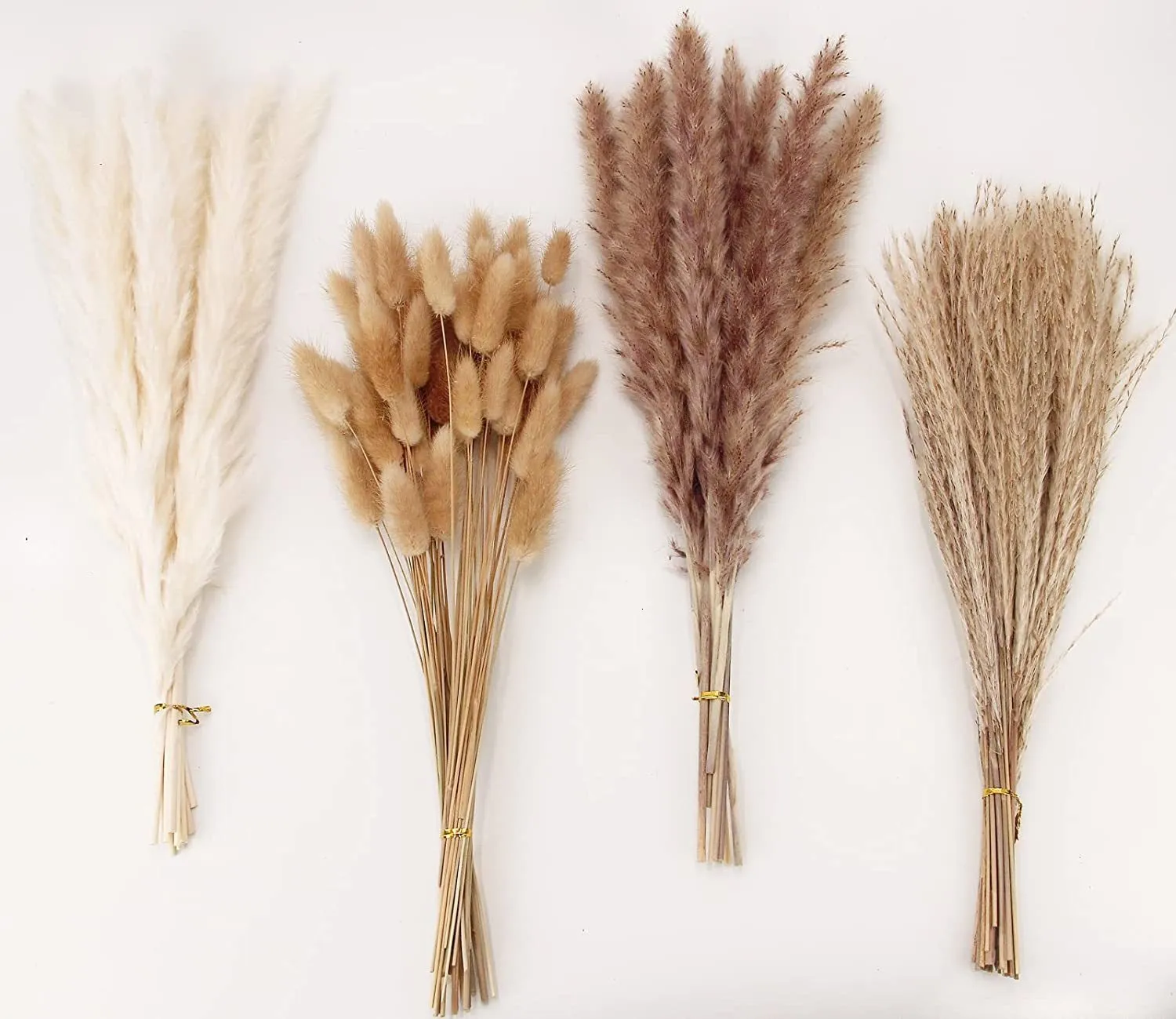 الزهور المجففة 100 PCS Pampas Grass تحتوي على باقة القصب Bunny Tail