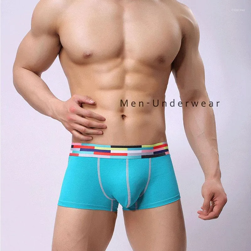 Unterhosen Herren Boxershorts mit buntem Taillengürtel Sexy U-Stil Baumwollstoff Männliche Männer Unterwäsche Cueca