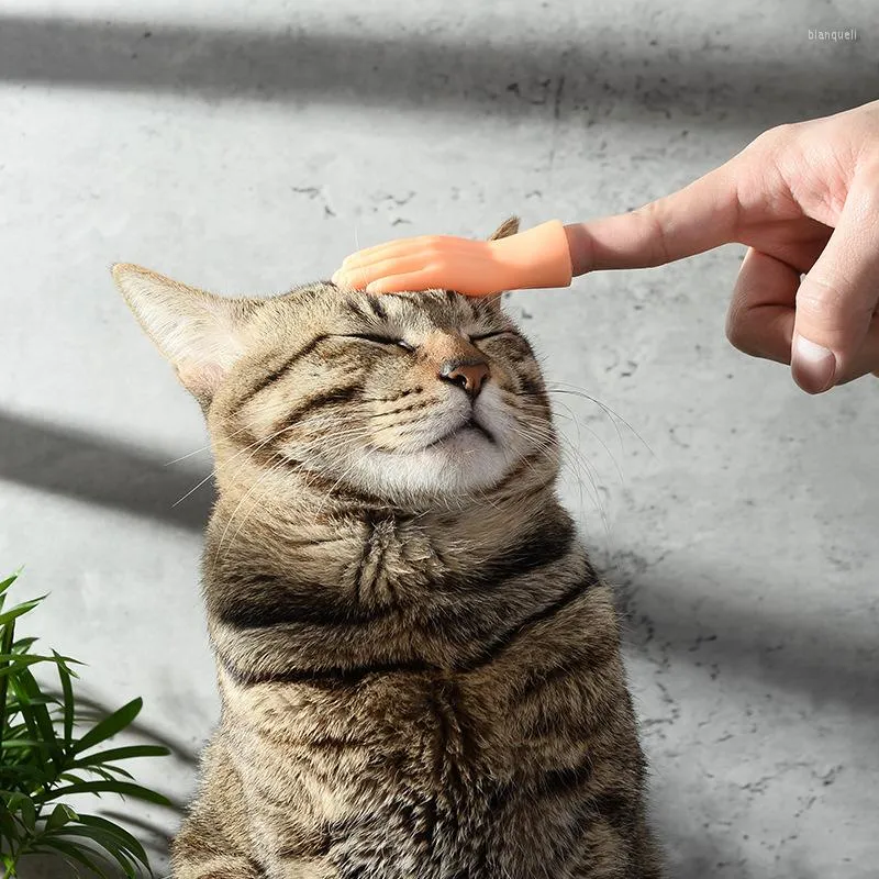 Jouets pour chats, jeu de doigts chatouillants, gants en plastique, se moquent des mains gauche et droite créatives des animaux de compagnie