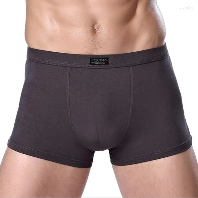 Underbyxor märke kläder mens underkläder boxare bambu fiber casual manlig mäns kort man fast färg 1 bit