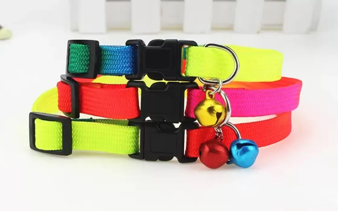 Rainbow Dog Cat Bell Collar Adjustable Outdoor Comfortable Nylon Pet Collars For Small Dogs Puppies Pet supplier