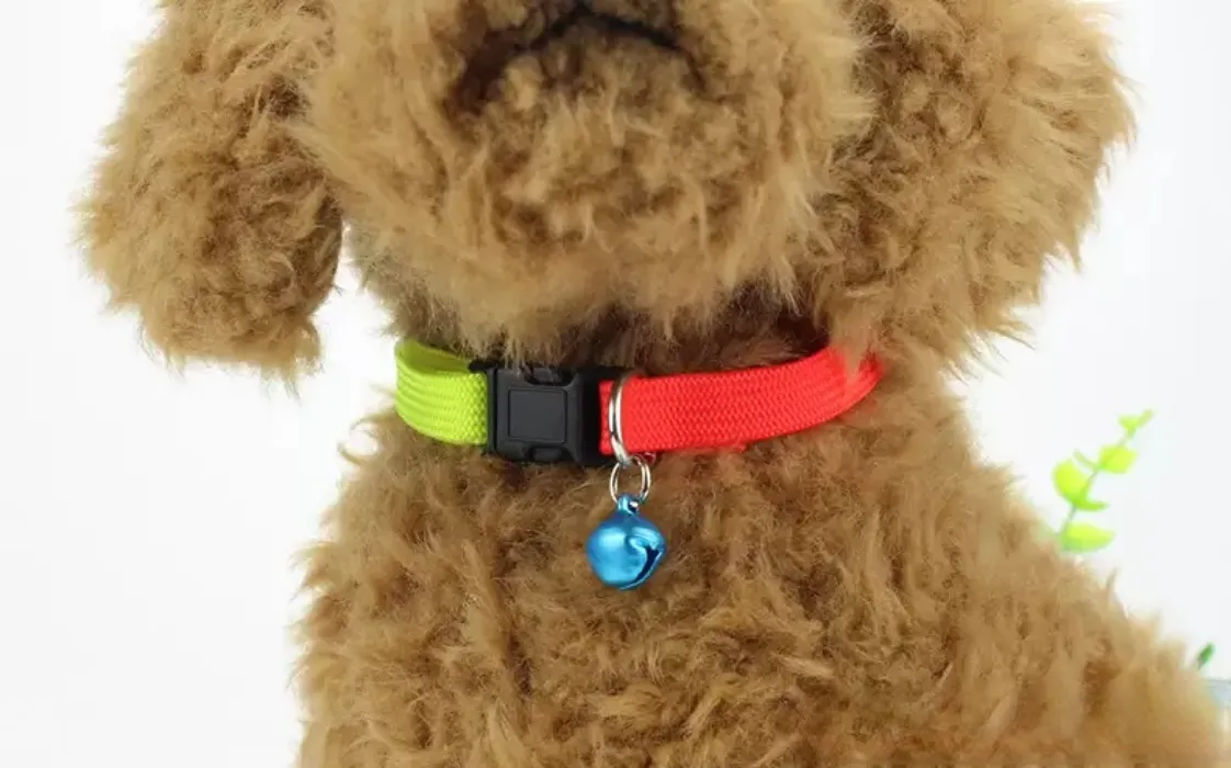 Rainbow Dog Cat Bell Collar Adjustable Outdoor Comfortable Nylon Pet Collars For Small Dogs Puppies Pet supplier