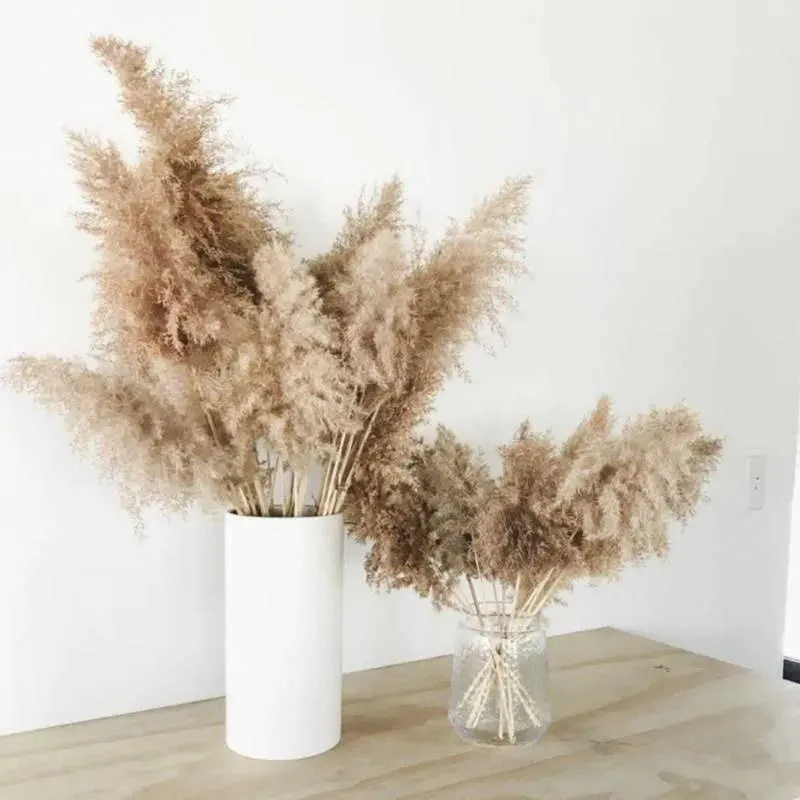 20PC fleurs séchées naturel véritable pampa herbe décor moelleux mariage fleur Arrangement Bouquet Vase fête ations Boho maison Y