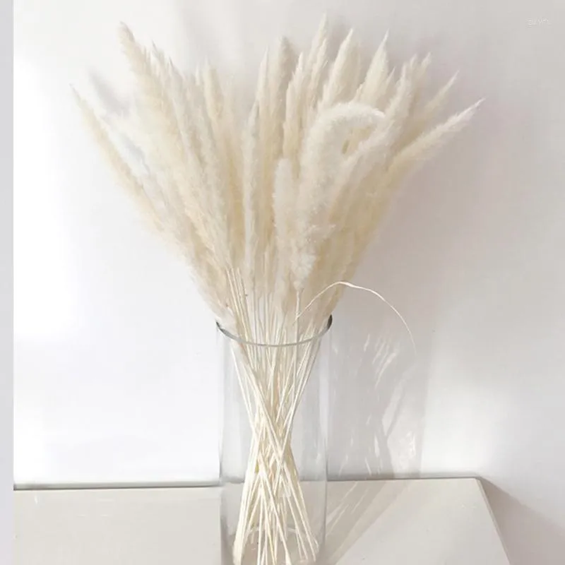 Flores decorativas Bulrush colorido grama natural seco artificial caseiro de casamento Acessórios de decoração de decoração longa de buquê