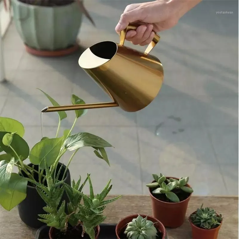 Les équipements d'arrosage peuvent longues bouches en acier inoxydable Kettle Facile Utilisation Poignée pour un outil de jardinage succulent1