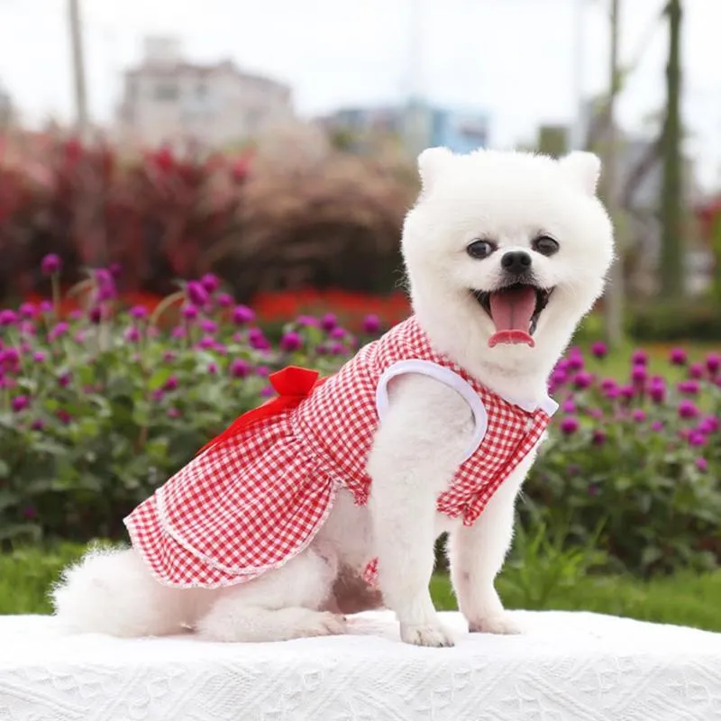 Dog Apparel Exquisite Cute Pet Puppy Dress Plaid Printing Bow-knot Decor Two-legged Costume Summer Bright Color DressDog