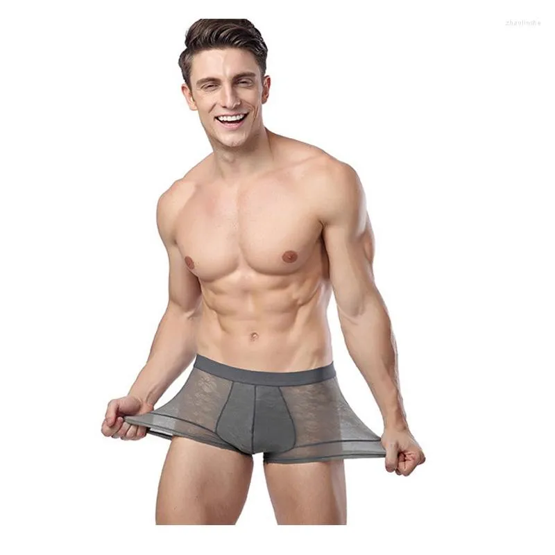 Mutande Chenke Boxer di marca da uomo trasparenti intimo sexy da uomo boxer pantaloncini stampa di bambù mutandine corte maschili boxer gay