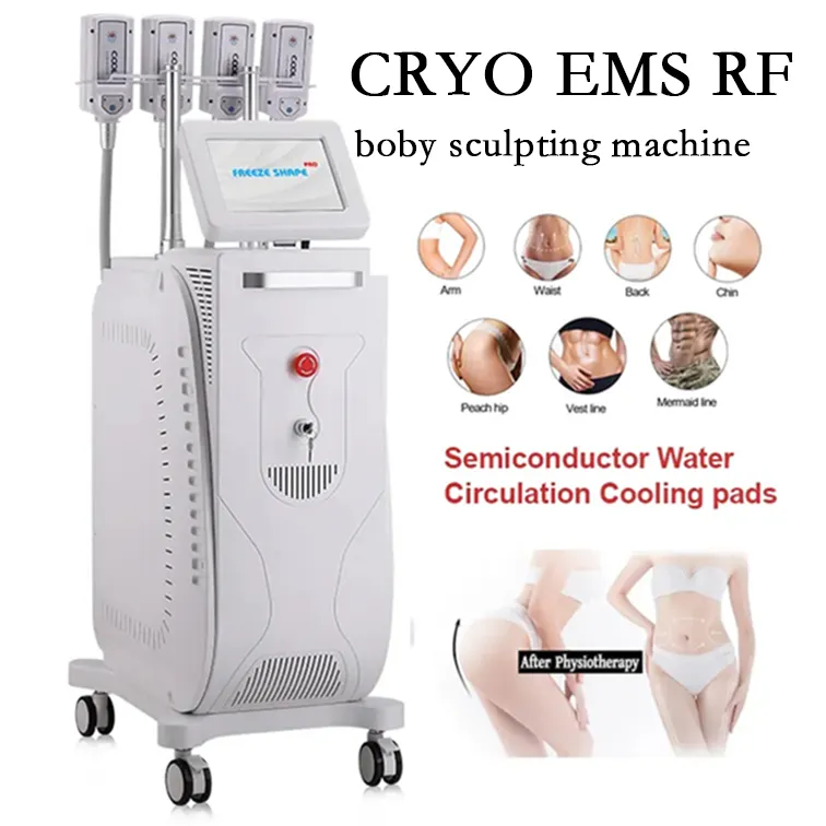 تجميد الدهون EMS Cryo Plate RF Machine Machine Sellulite Removal Trouze Body Sculpting Mustr