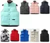 sleeveless puffer jacket