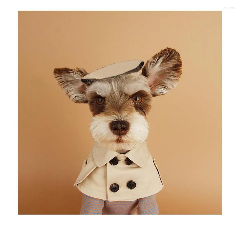 Hundklädkrage Beige Pet Bandana Scarf British Style Cloak Trench Coat Cat Collar för små valpbandage Bib -tillbehör