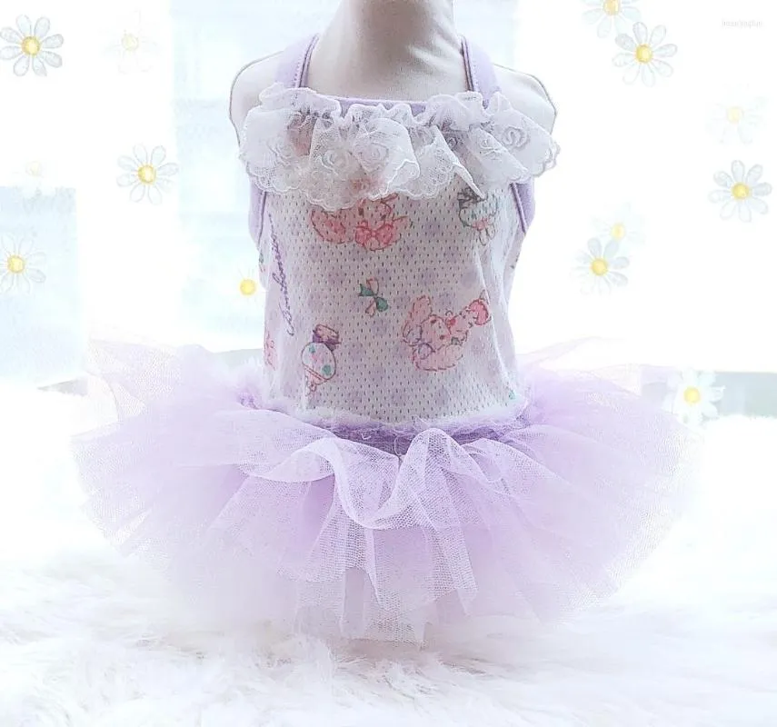 Dog Apparel Pink Purple Colors Pet Tutu Dress For Spring And Summer Cute Sweet Mesh Layered Lace Design Girl Clothes Bargains Skirt