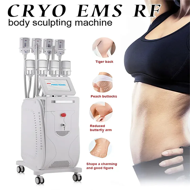 Kroppsbantning Cryo RF Machine Fat Freeze Do Weight EMS Cellulite Borttagning Body Shaping Equipment med logotypanpassning