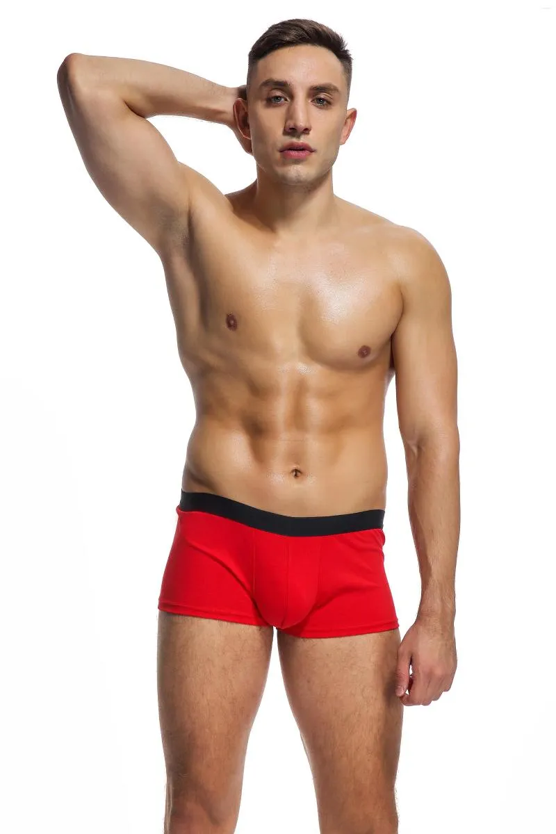 Sous-vêtements très bas prix Boythor Sous-vêtements pour hommes Single monochrome pleine taille sexy petite taille bikini