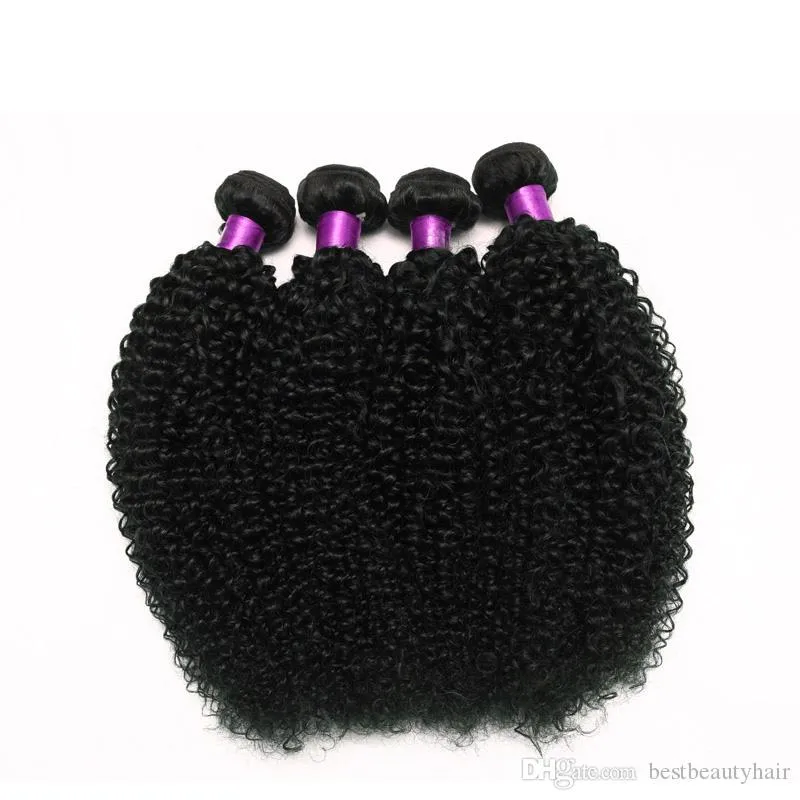 Brazilian Kinky Curly Virgin Hair 6A 100% Unprocessed Brazilian Virgin Hair Brazilian Curly Virgin Hair Curly Weave Human Weave Bundles