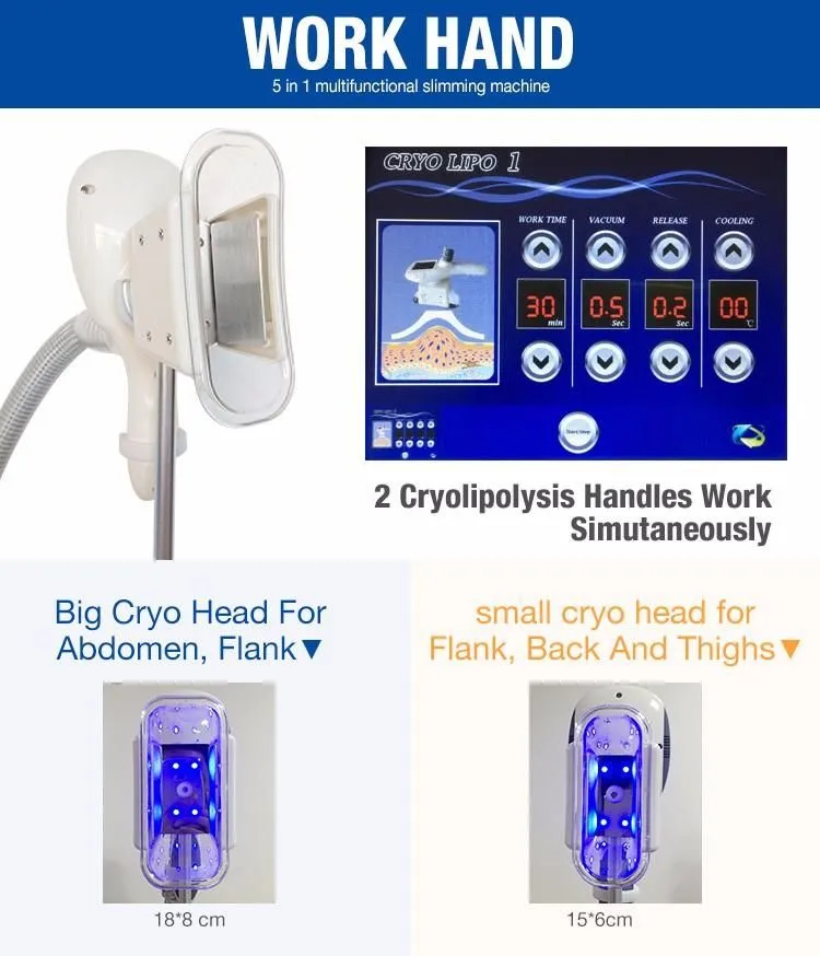 Multifunction 5 in 1 cryo lipolysis slimming machine