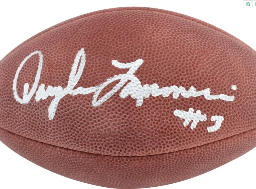 Lamonic Hopkins Rodgers Gates Unitas ADAMS Dungy Butkus White Reid Tittle Dédicacé Signé Signature Autographe Ballon de football à collectionner